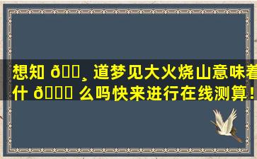 想知 🕸 道梦见大火烧山意味着什 🕊 么吗快来进行在线测算！